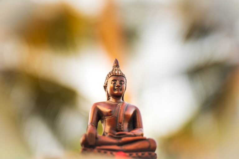 The Buddha’s view on Karma and rebirth