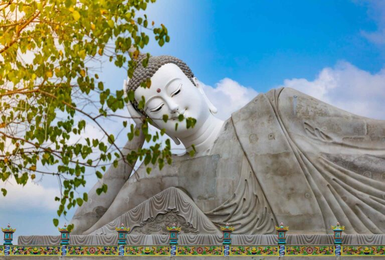 從根本開始學習